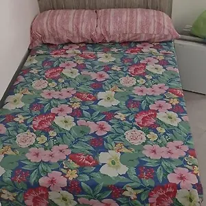  Casa vacanze O'vascio E Carmela Italia